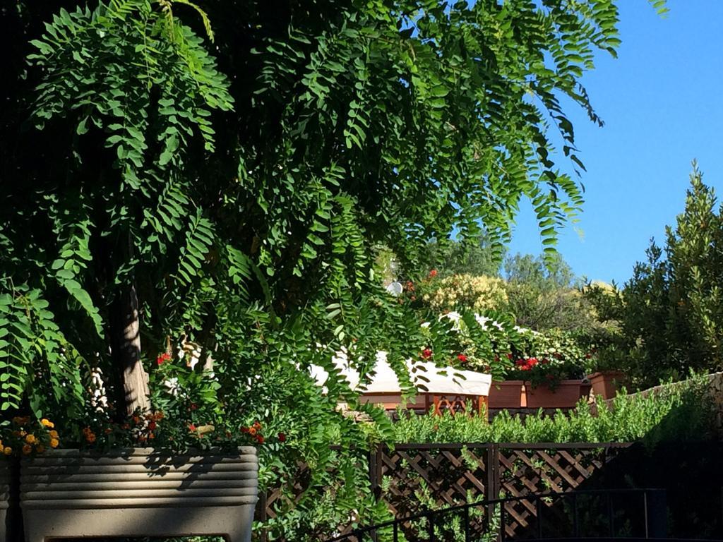 Villa Giuliana Сан-Вито-Ло-Капо Номер фото
